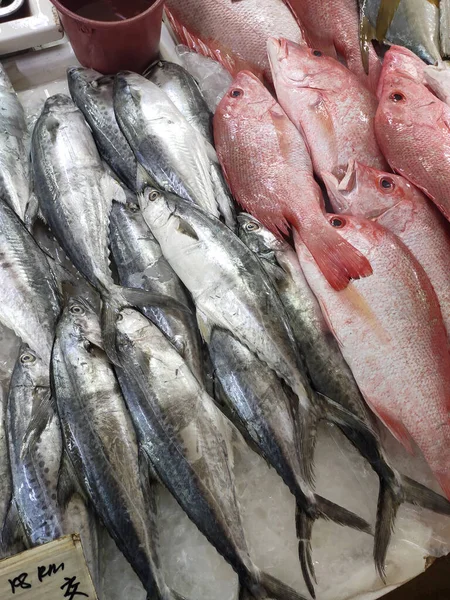 Vários Tipos Peixes Mercado Peixe São Exibidos Para Venda Rotulado — Fotografia de Stock