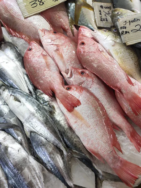 Various types of fish in the fish market are displayed for sale. Labelled with fish species and prices.