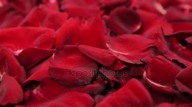 Kırmızı gül yaprakları kökenli.