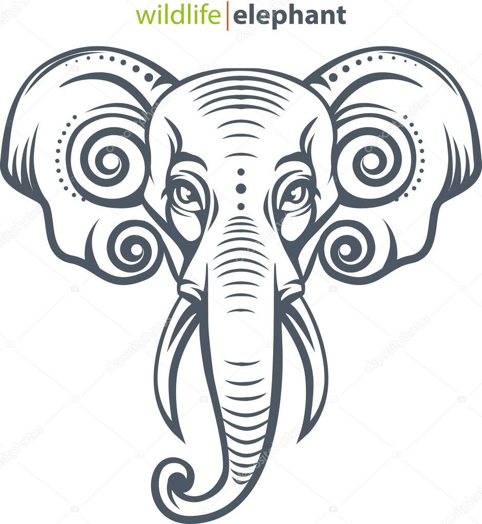 Vector illustration, elephant head symbol