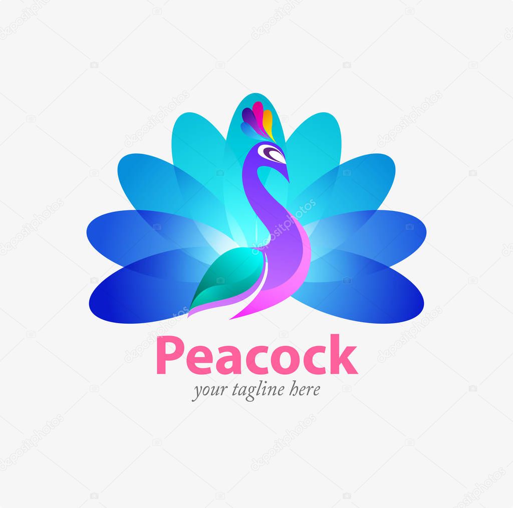 Vector illustration modification of peacock as a symbol or logo.
