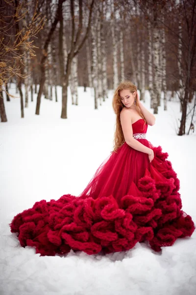 Hermosa mujer en vestido largo rojo sobre fondo de invierno. Cuento de hadas chica en el paisaje . — Foto de Stock