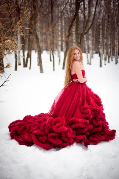 Hermosa mujer en vestido largo rojo sobre fondo de invierno. Cuento de hadas chica en el paisaje . — Foto de Stock