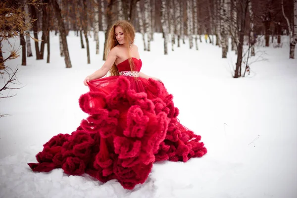 Bella donna in abito rosso lungo su sfondo invernale. Ragazza fiaba sul paesaggio . — Foto Stock