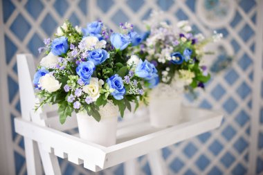 Yaz ya da bahar Papatya çiçekli güzel bahçe