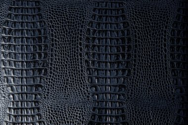 mavi deri doku arka kapatmak makro