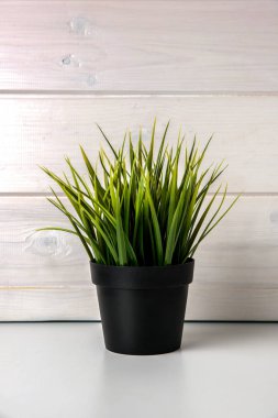 Yeşil Beyaz ahşap masa üzerinde siyah Çiçeklik fabrikasında