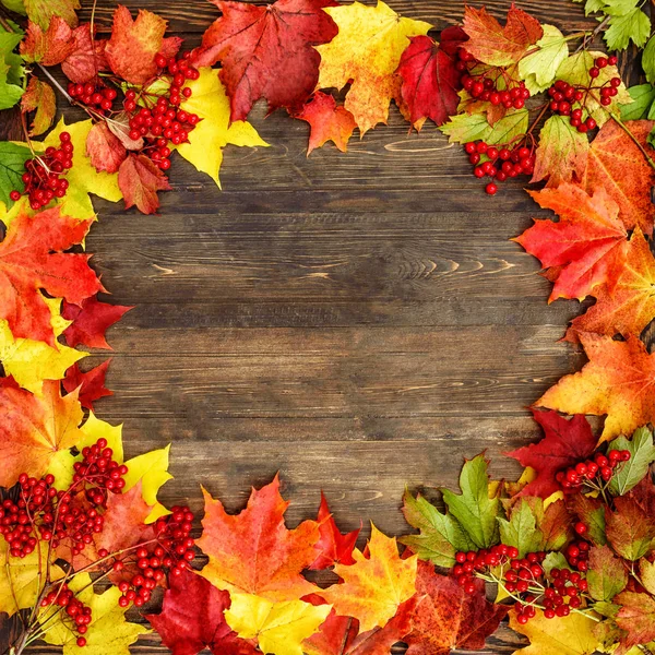 Herbst Hintergrund mit Blatt auf einem Holz — Stockfoto