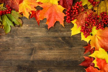 Bir ağaç yaprağı ile sonbahar arka plan