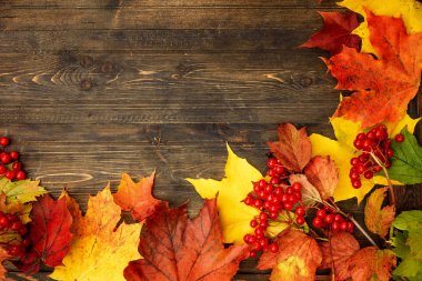 Bir ağaç yaprağı ile sonbahar arka plan