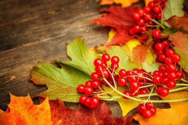 Bir ağaç yaprağı ile sonbahar arka plan