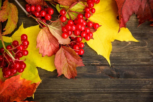 Bir ağaç yaprağı ile sonbahar arka plan