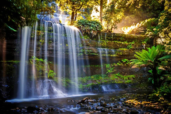 Russel Falls, Mt Field National Park, part of Tasmania 's Wilderness Área, Tasmania, Australia —  Fotos de Stock