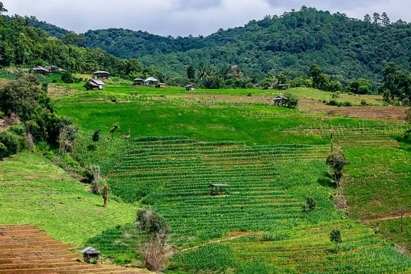 Güzel bir pirinç Teras ve Pa Bong Piang Inthanon Milli Parkı ve Mae Chaem, Chiangmai, Tayland yakınındaki dağ manzarası