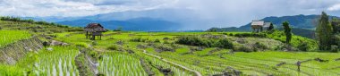 Küçük kulübe ve pirinç Teras ağaçlar ve dağlar Pa Bong Piang Inthanon Milli Parkı ve Mae Chaem, Chiangmai, Tayland, Thailand, çevrili bir bulutlu aydınlatmada bir panorama görünüm