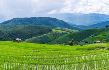 Küçük kulübe ve pirinç Teras ağaçlar ve dağlar Pa Bong Piang Inthanon Milli Parkı ve Mae Chaem, Chiangmai, Tayland, Thailand, arka planda bir yağmur fırtına ile çevrili bir bulutlu aydınlatma ile Panorama