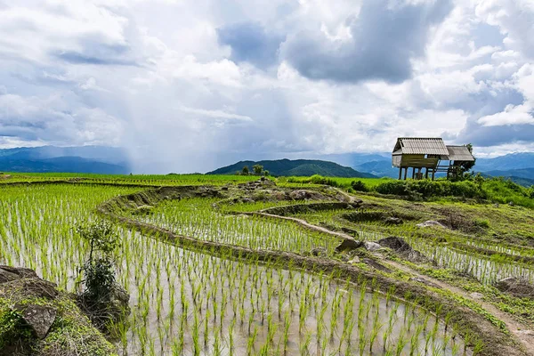 küçük kulübe ve pirinç Teras ağaçlar ve dağlar Pa Bong Piang Inthanon Milli Parkı ve Mae Chaem, Chiangmai, Tayland, Thailand, arka planda bir yağmur fırtına ile çevrili bir bulutlu aydınlatma