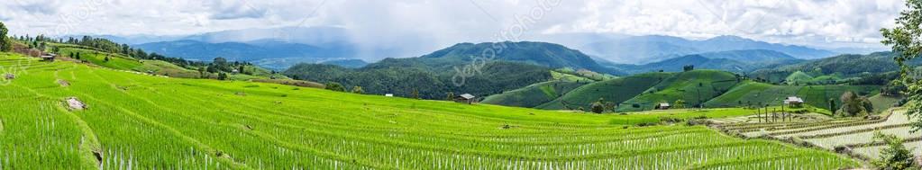 Panorama with little hut and Rice terrace in a cloudy lighting surrounded by trees and mountains with a raining storm in the background at Pa Bong Piang near Inthanon National Park and Mae Chaem, Chiangmai, Thailand