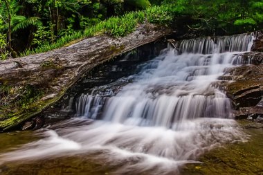 Liffey Falls, Liffey Nehri üzerinde dört ayrı katmanlı çağlayan şelalenin bir dizi Tazmanya, Avustralya Midlands bölgesinde bulunan.
