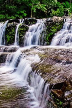 Liffey Falls, Liffey Nehri üzerinde dört ayrı katmanlı çağlayan şelalenin bir dizi Tazmanya, Avustralya Midlands bölgesinde bulunan.
