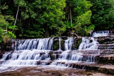 Liffey Falls, Liffey Nehri üzerinde dört ayrı katmanlı çağlayan şelalenin bir dizi Tazmanya, Avustralya Midlands bölgesinde bulunan.