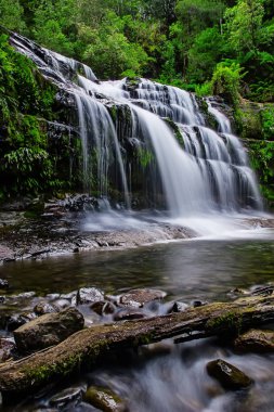 Liffey Falls, Liffey Nehri üzerinde dört ayrı katmanlı çağlayan şelalenin bir dizi Tazmanya, Avustralya Midlands bölgesinde bulunan.