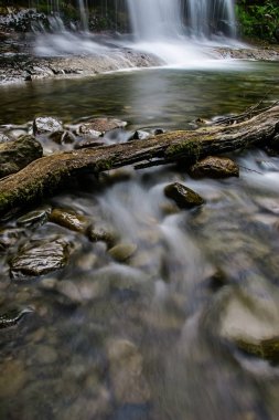 Liffey Falls, Liffey Nehri üzerinde dört ayrı katmanlı çağlayan şelalenin bir dizi Tazmanya, Avustralya Midlands bölgesinde bulunan.
