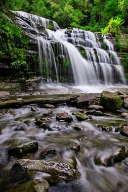 Liffey Falls, Liffey Nehri üzerinde dört ayrı katmanlı çağlayan şelalenin bir dizi Tazmanya, Avustralya Midlands bölgesinde bulunan.