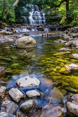 Liffey Falls, Liffey Nehri üzerinde dört ayrı katmanlı çağlayan şelalenin bir dizi Tazmanya, Avustralya Midlands bölgesinde bulunan.
