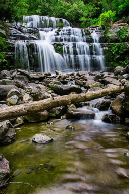 Liffey Falls, Liffey Nehri üzerinde dört ayrı katmanlı çağlayan şelalenin bir dizi Tazmanya, Avustralya Midlands bölgesinde bulunan.