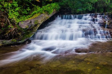 Liffey düşüyor devlet rezerv, Midlands bölge Tasmania, Avustralya.