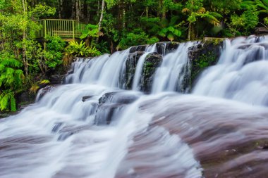Liffey düşüyor devlet rezerv, Midlands bölge Tasmania, Avustralya.