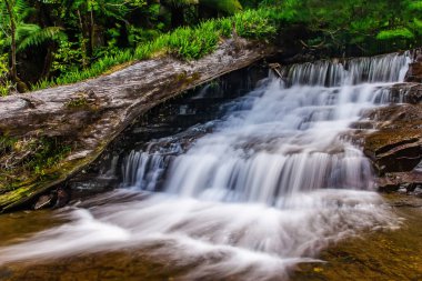 Liffey Falls, Liffey Nehri üzerinde dört ayrı katmanlı çağlayan şelalenin bir dizi Tazmanya, Avustralya Midlands bölgesinde bulunan.