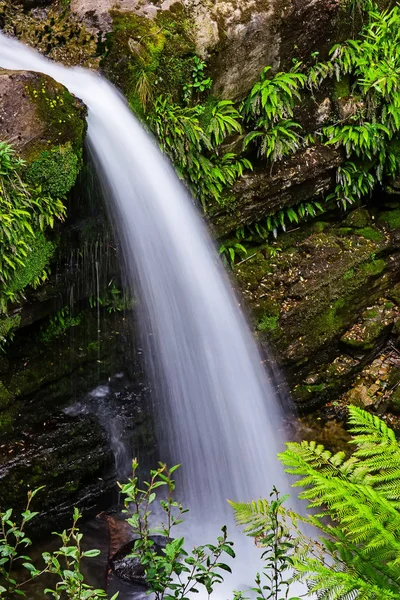 Liffey düşüyor devlet rezerv, Midlands bölge Tasmania, Avustralya.