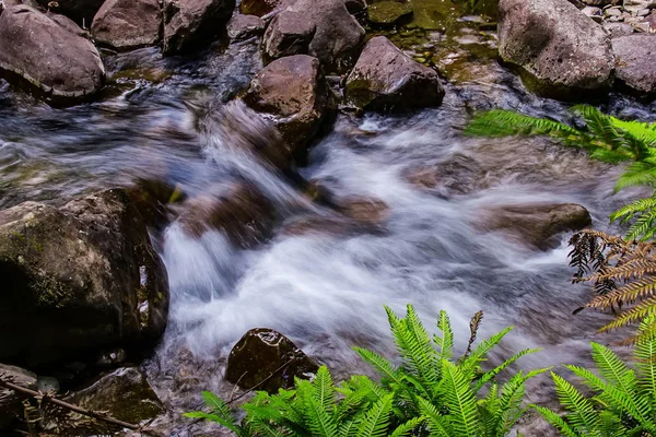 Liffey Falls, Liffey Nehri üzerinde dört ayrı katmanlı çağlayan şelalenin bir dizi Tazmanya, Avustralya Midlands bölgesinde bulunan.