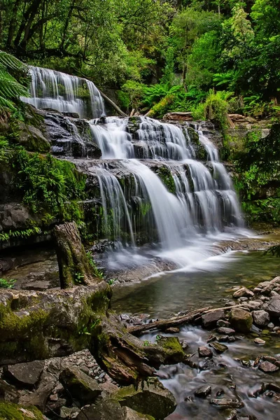 Reserva Estatal Liffey Falls en la región de Midlands de Tasmania, Australia . —  Fotos de Stock