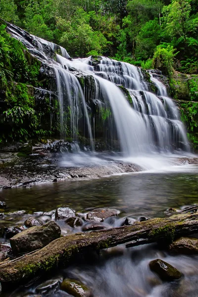 Liffey Falls, Liffey Nehri üzerinde dört ayrı katmanlı çağlayan şelalenin bir dizi Tazmanya, Avustralya Midlands bölgesinde bulunan.