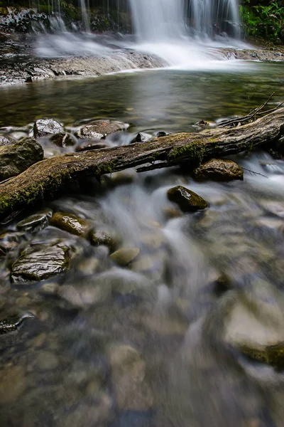 Liffey Falls, Liffey Nehri üzerinde dört ayrı katmanlı çağlayan şelalenin bir dizi Tazmanya, Avustralya Midlands bölgesinde bulunan.