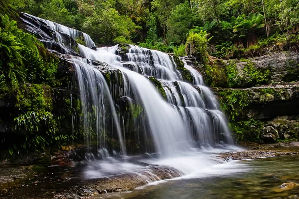Liffey Falls, Liffey Nehri üzerinde dört ayrı katmanlı çağlayan şelalenin bir dizi Tazmanya, Avustralya Midlands bölgesinde bulunan.