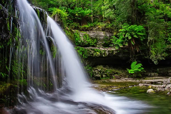 Reserva Estatal Liffey Falls en la región de Midlands de Tasmania, Australia . —  Fotos de Stock