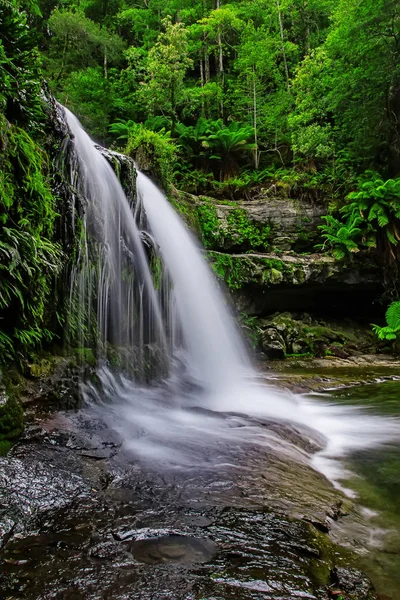 Liffey Falls, Liffey Nehri üzerinde dört ayrı katmanlı çağlayan şelalenin bir dizi Tazmanya, Avustralya Midlands bölgesinde bulunan.