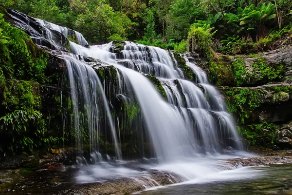 Liffey Falls, Liffey Nehri üzerinde dört ayrı katmanlı çağlayan şelalenin bir dizi Tazmanya, Avustralya Midlands bölgesinde bulunan.