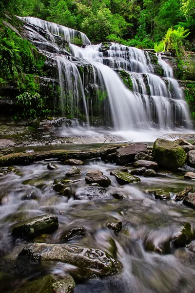 Liffey Falls, Liffey Nehri üzerinde dört ayrı katmanlı çağlayan şelalenin bir dizi Tazmanya, Avustralya Midlands bölgesinde bulunan.