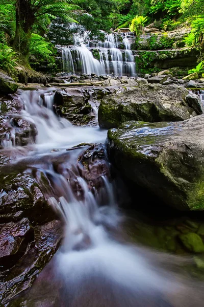 Liffey Falls, Liffey Nehri üzerinde dört ayrı katmanlı çağlayan şelalenin bir dizi Tazmanya, Avustralya Midlands bölgesinde bulunan.