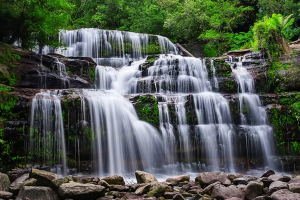 Reserva Estatal Liffey Falls en la región de Midlands de Tasmania, Australia . —  Fotos de Stock