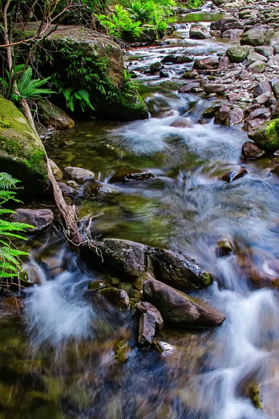 Liffey Falls, Liffey Nehri üzerinde dört ayrı katmanlı çağlayan şelalenin bir dizi Tazmanya, Avustralya Midlands bölgesinde bulunan.