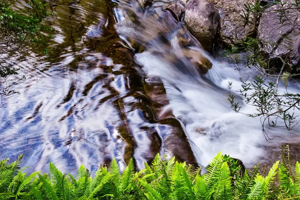 Liffey Falls, Liffey Nehri üzerinde dört ayrı katmanlı çağlayan şelalenin bir dizi Tazmanya, Avustralya Midlands bölgesinde bulunan.