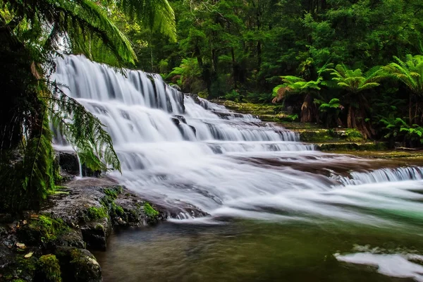 Liffey düşüyor devlet rezerv, Midlands bölge Tasmania, Avustralya.