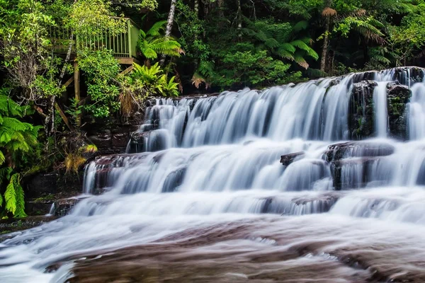 Liffey Falls, Liffey Nehri üzerinde dört ayrı katmanlı çağlayan şelalenin bir dizi Tazmanya, Avustralya Midlands bölgesinde bulunan.