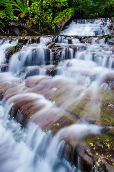 Liffey Falls, Liffey Nehri üzerinde dört ayrı katmanlı çağlayan şelalenin bir dizi Tazmanya, Avustralya Midlands bölgesinde bulunan.